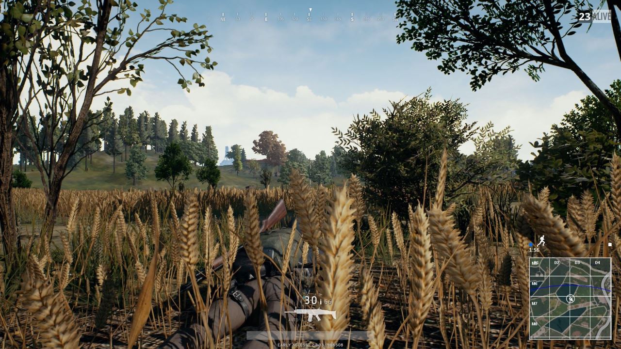 PUBG Foliage Very Low